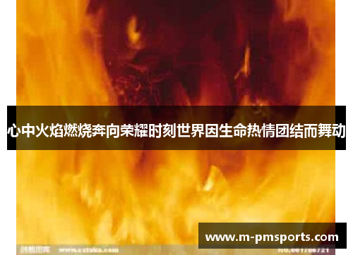 心中火焰燃烧奔向荣耀时刻世界因生命热情团结而舞动